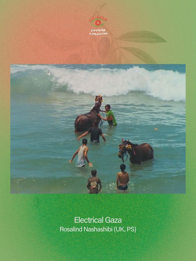 Cineclub n.º 1 — Electrical Gaza, Rosalind Nashashibi