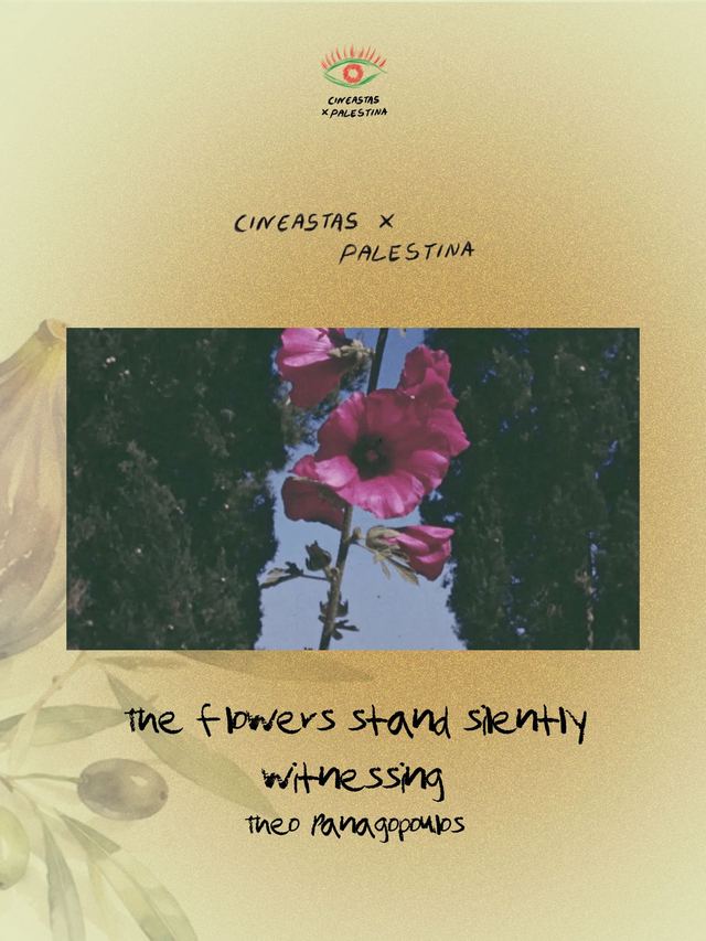 Cineclub n.º 5 — The Flowers Stand Silently, Witnessing, Theo Panagopoulos
